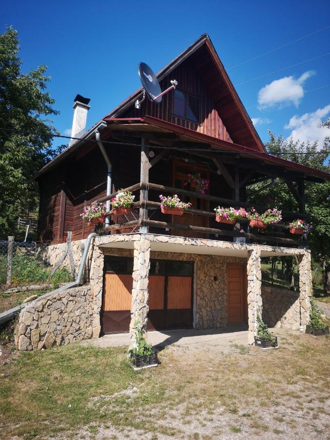 Vikendica Kod Brice Apartment Jevtici